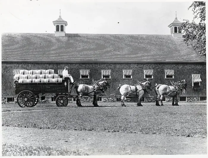 Framed Print : Six Horses Pulling Brewery Truck Framed Print : Six Horses Pulling Brewery Truck