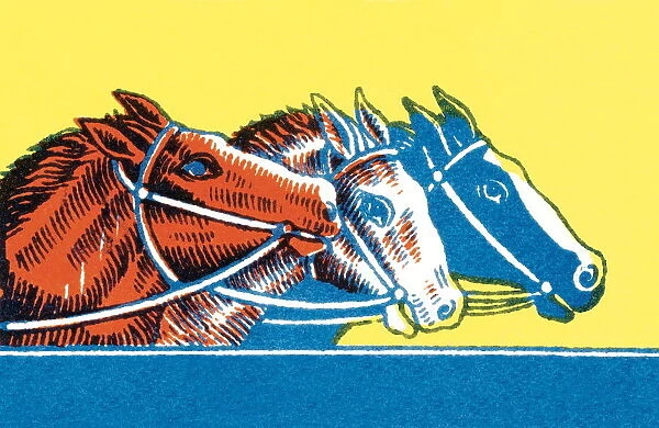 Three horses racing