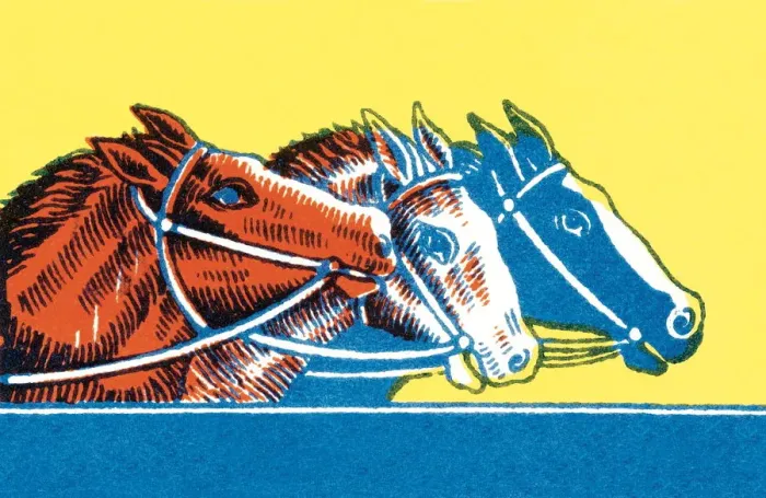 Framed Print : Three horses racing Framed Print : Three horses racing