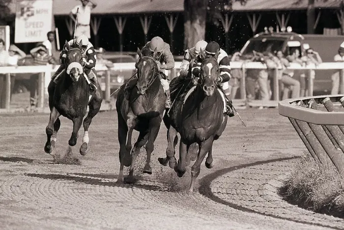 Framed Print : Horses Racing