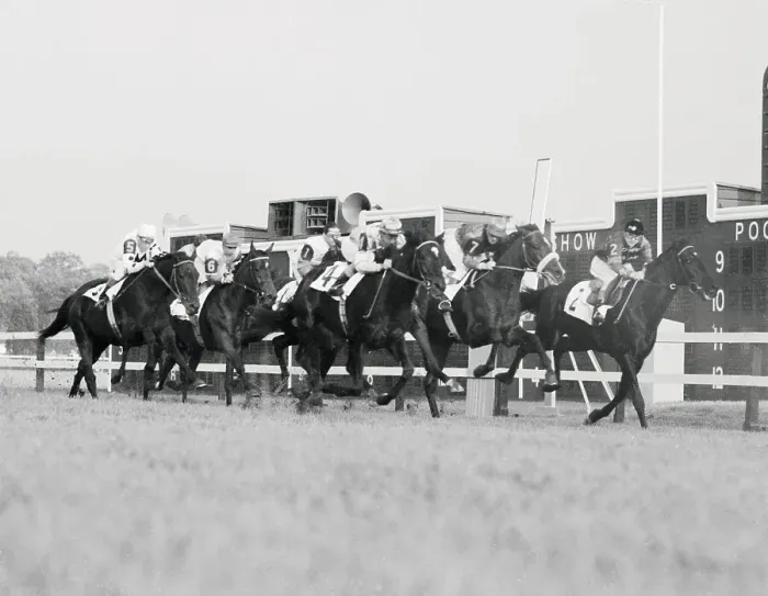 Framed Print : Horses Racing Framed Print : Horses Racing