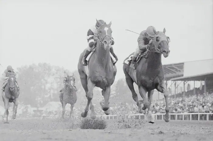 Framed Print : Horses Racing to Finish Line Framed Print : Horses Racing to Finish Line
