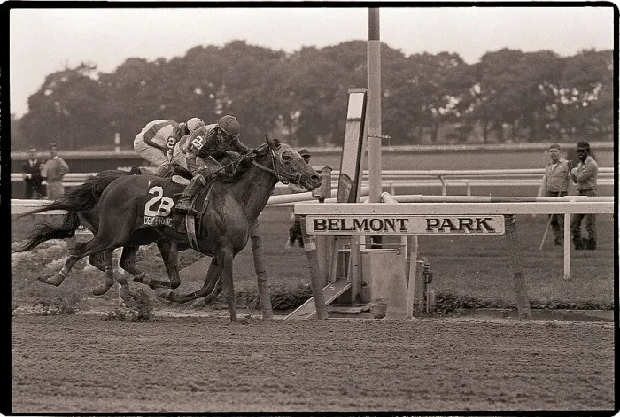 Framed Print : Horses Running in Belmont Stakes Framed Print : Horses Running in Belmont Stakes