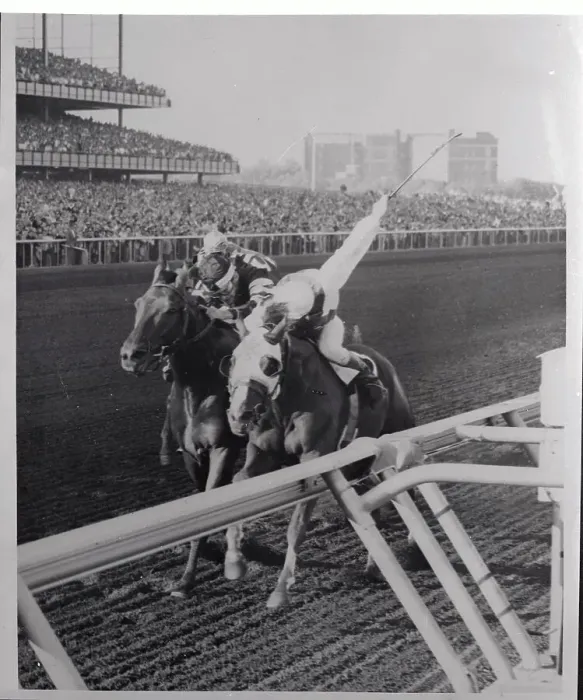Framed Print : Horses Running in A Race Framed Print : Horses Running in A Race