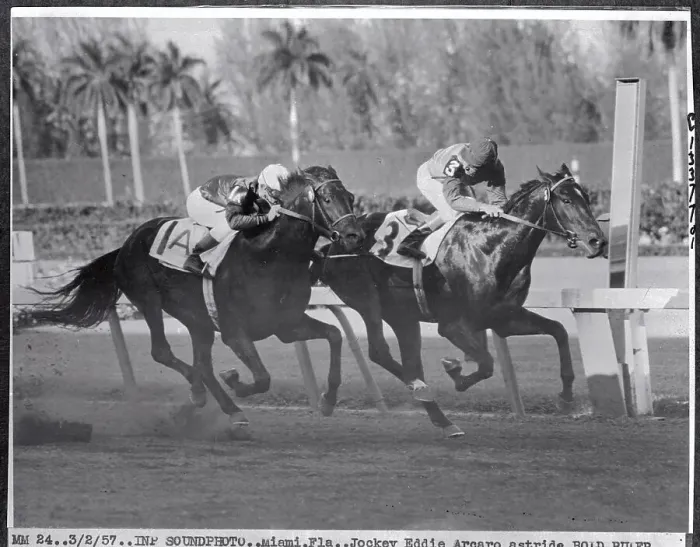 Framed Print : Horses Running in A Race Framed Print : Horses Running in A Race