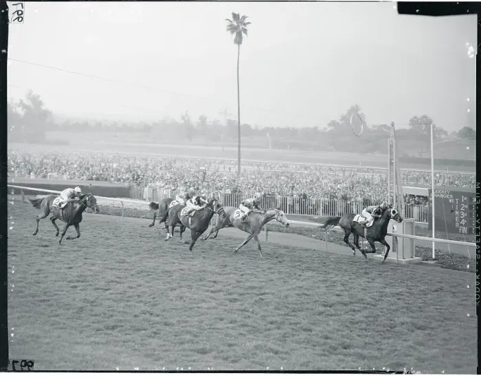 Framed Print : Horses Running in a Race Framed Print : Horses Running in a Race