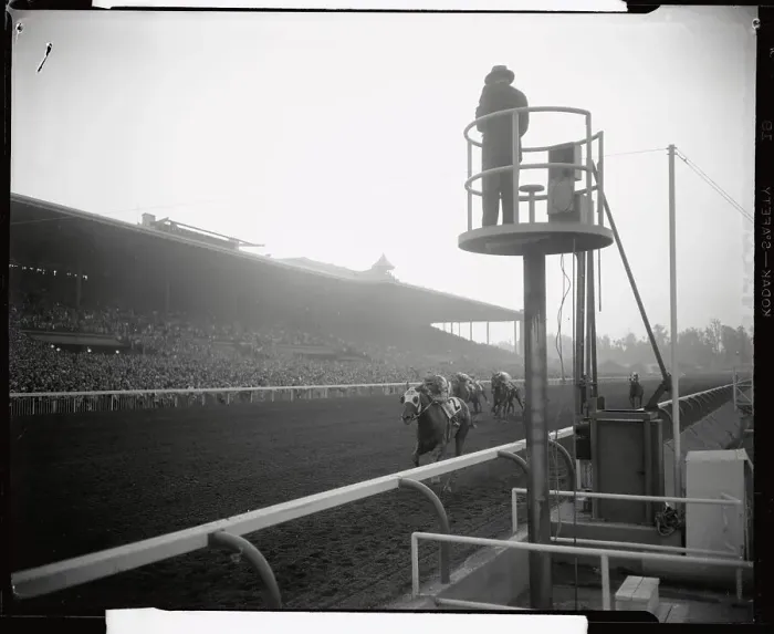 Framed Print : Horses Running in A Race Framed Print : Horses Running in A Race