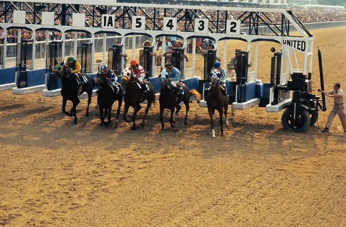 Framed Print : Horses Running out of the Starting Gate Framed Print : Horses Running out of the Starting Gate
