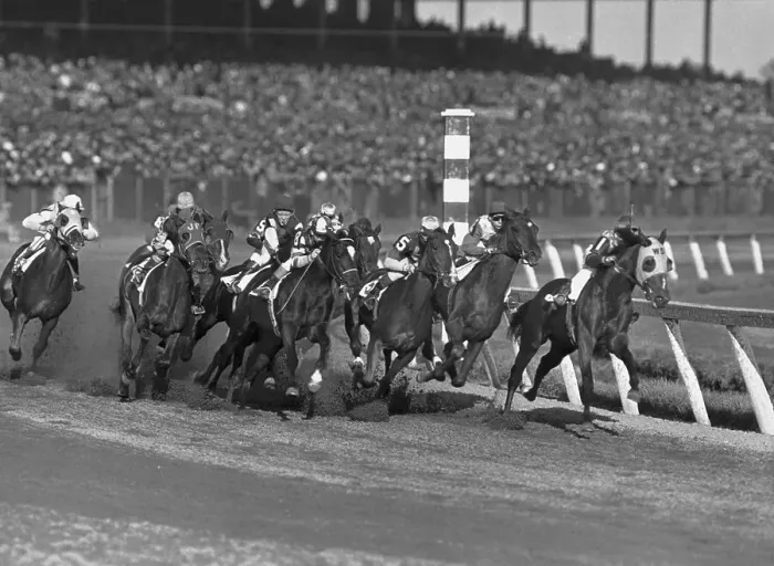 Framed Print : Horses Running on a Track
