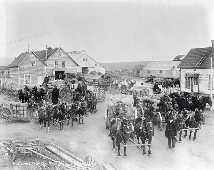 Framed Print : Horses and Wagons at Gold Rush Camp