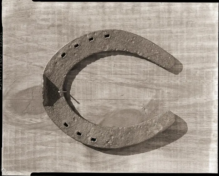 Framed Print : Horseshoe Hanging on a Nail Framed Print : Horseshoe Hanging on a Nail