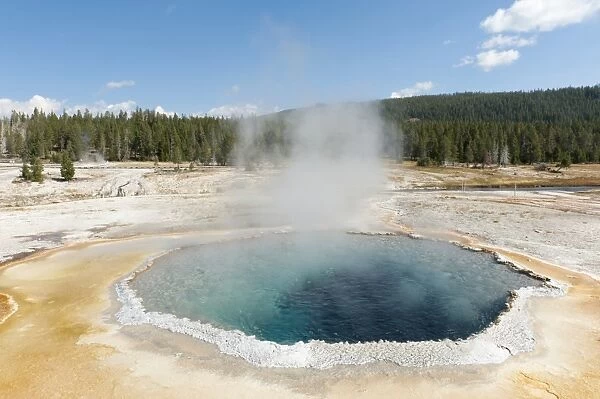 Hot spring, boiling water, steam, Crested Pool, Castle-Grand Area, Upper Geyser Basin, Yellowstone National Park, Wyoming, Western United States, USA, United States of America, North America