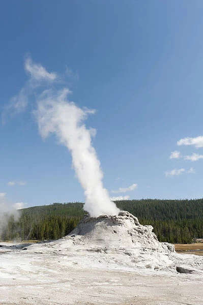 Hot spring with a cone geyser, steam column, water vapor, Castle Geyser, Castle-Grand Area, Upper Geyser Basin, Yellowstone National Park, Wyoming, Western United States, USA, United States of America, North America