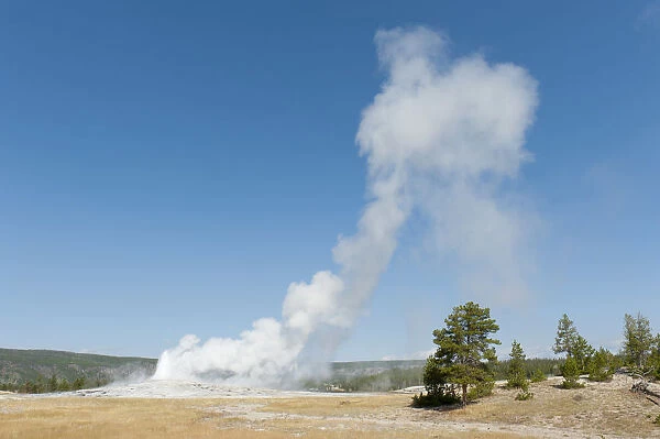 Hot spring, dwindling eruption, geyser, steam against a blue sky, Old Faithful, Upper Geyser Basin, Yellowstone National Park, Wyoming, Western United States, USA, United States of America, North America