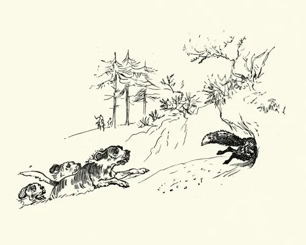 Vintage Fox Hunting Print: Hounds Chasing Fox Down a Hole. Art