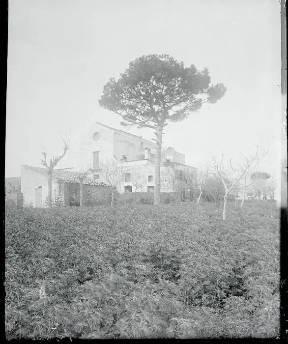 Framed Print : House Standing Idly in Shrubbery Framed Print : House Standing Idly in Shrubbery