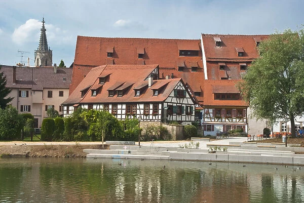 Houses on the Neckar River, the cathedral at the back, Rottenburg on the Neckar River, Baden-Wuerttemberg, Germany, Europe