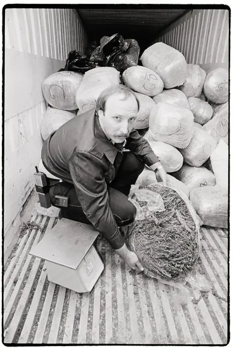 Framed Print : Houston Policeman Sweeping Marijuana Framed Print : Houston Policeman Sweeping Marijuana