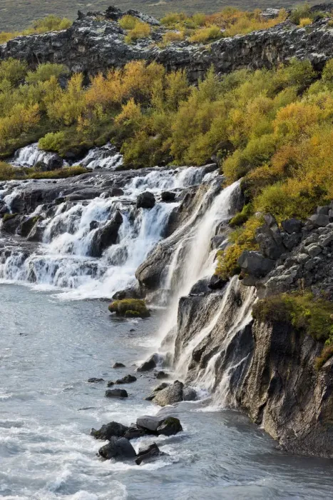 Framed Print : Hraunfossar, waterfalls of the Hvita river in autumn, near Husafell and Reykholt, Iceland Framed Print : Hraunfossar, waterfalls of the Hvita river in autumn, near Husafell and Reykholt, Iceland