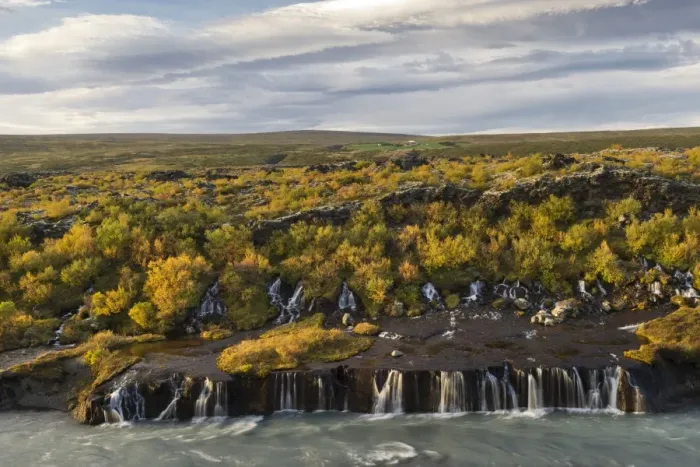 Framed Print : Hraunfossar, waterfalls of the Hvita river in autumn, near Husafell and Reykholt, Iceland Framed Print : Hraunfossar, waterfalls of the Hvita river in autumn, near Husafell and Reykholt, Iceland