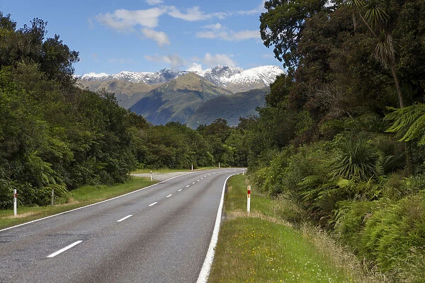 Hst Highway with views of the Southern Alps and Mount Macfarlane, 2057m, Hst, West Coast Region, New Zealand