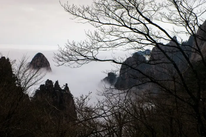 Framed Print : Huangshan mountain in foggy day Framed Print : Huangshan mountain in foggy day