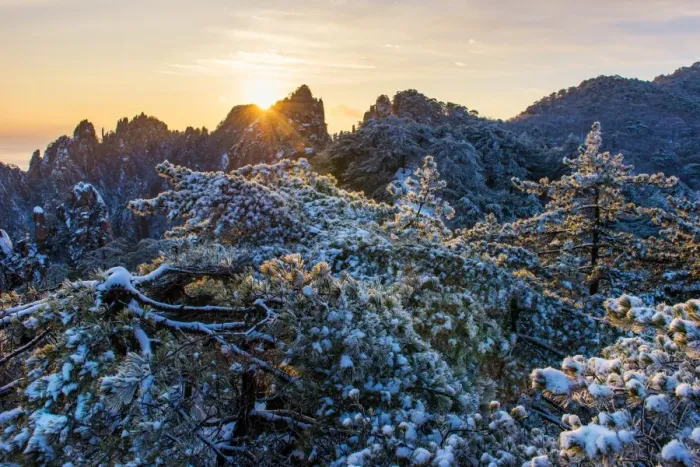 Framed Print : Huangshan Mountain in winter season Framed Print : Huangshan Mountain in winter season