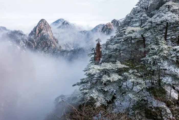 Framed Print : Huangshan mountain in winter season Framed Print : Huangshan mountain in winter season