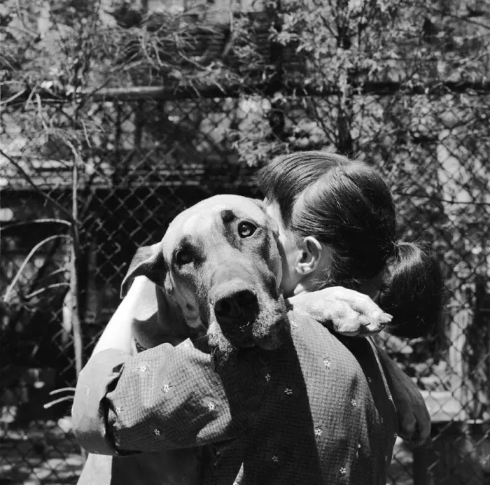 Framed Print : Hug A Dog. One of the canine actors at Miss d Essens New York animal acting Framed Print : Hug A Dog. One of the canine actors at Miss d Essens New York animal acting