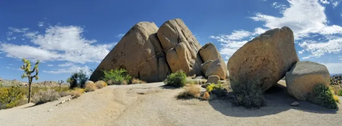 Framed Print : Huge granite rocks of Split Rocks with a Joshua Tree or Palm Tree Yucca -Yucca brevifolia-, Joshua Tree National Park, Desert Center, California, USA Framed Print : Huge granite rocks of Split Rocks with a Joshua Tree or Palm Tree Yucca -Yucca brevifolia-, Joshua Tree National Park, Desert Center, California, USA