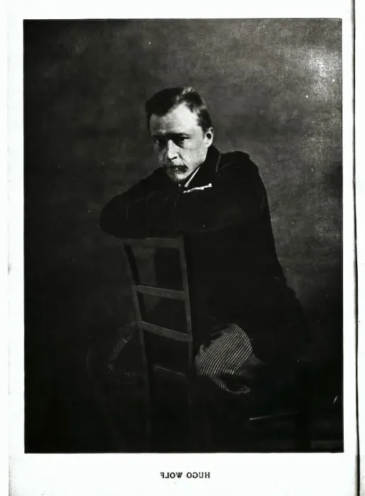 Framed Print : Hugo Wolf Sitting in a Chair Framed Print : Hugo Wolf Sitting in a Chair