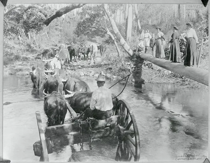 Framed Print : Hullock Team Crossing River Framed Print : Hullock Team Crossing River