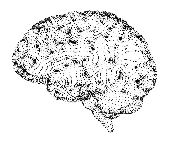 Framed Print : Human brain, conceptual illustration, illustration Framed Print : Human brain, conceptual illustration, illustration
