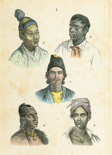 Human races engraving 1872
