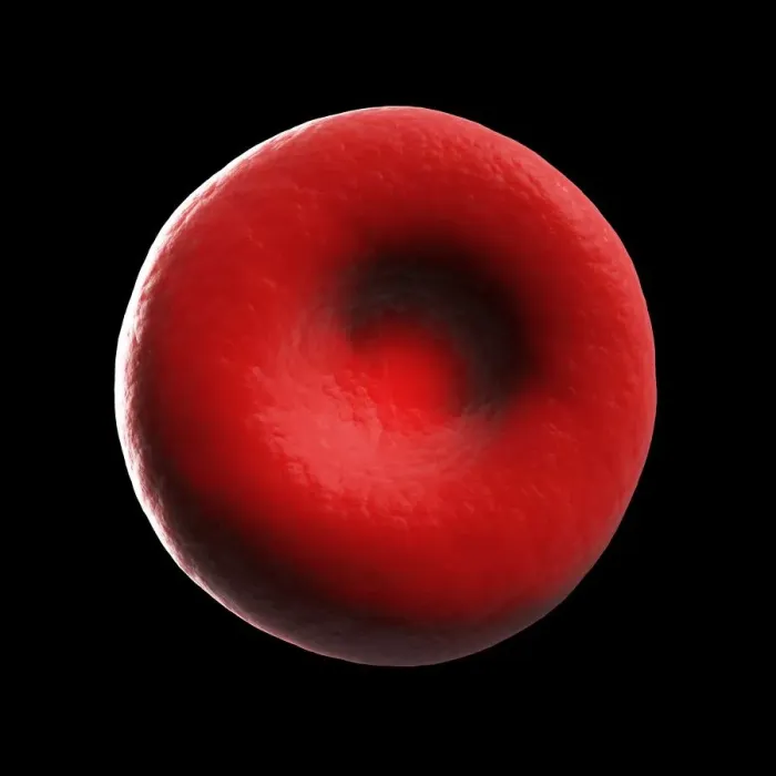 Framed Print : Human red blood cell, illustration