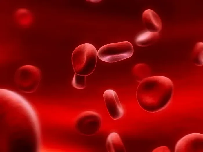 Framed Print : Human red blood cells, artwork Framed Print : Human red blood cells, artwork