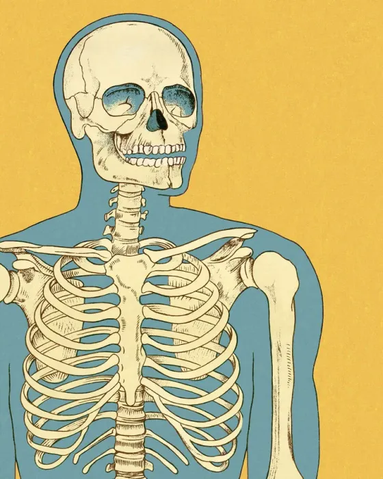Framed Print : Human Skeleton Framed Print : Human Skeleton