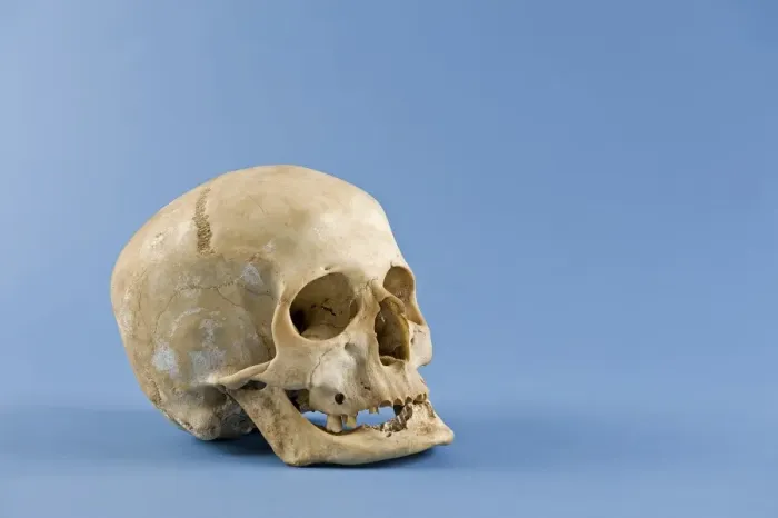 Framed Print : Human skull Framed Print : Human skull
