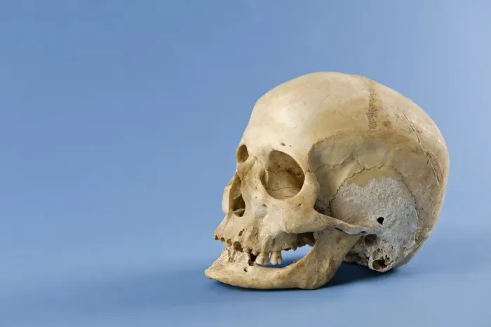 Framed Print : Human skull Framed Print : Human skull