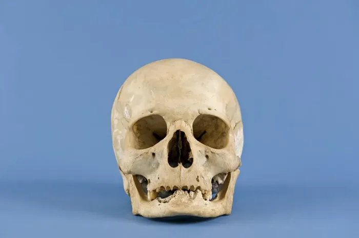 Framed Print : Human skull Framed Print : Human skull