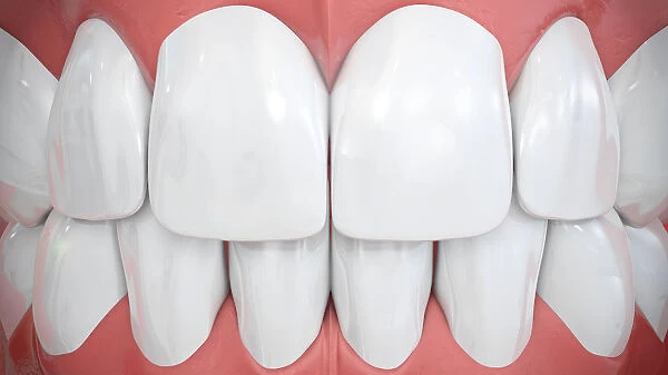 Human teeth, illustration