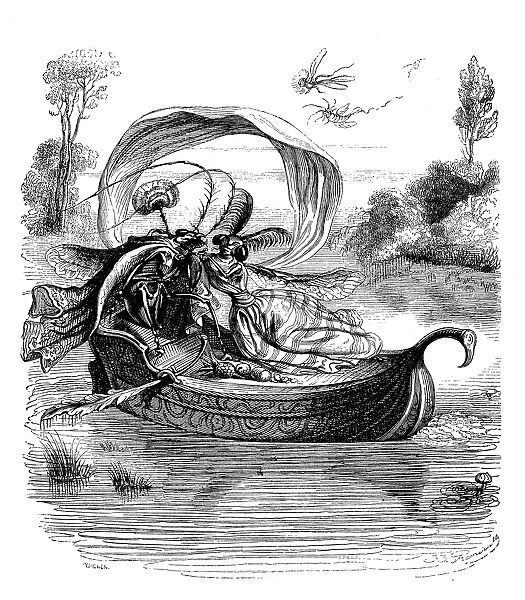 Humanized animals illustrations: Insect couple on boat