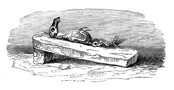 Humanized animals illustrations: Dead penguin skeleton
