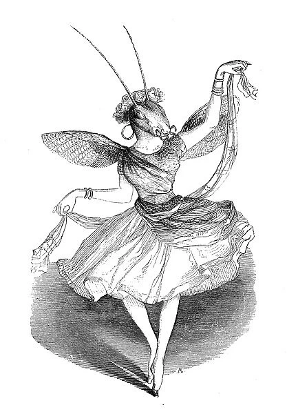 Humanized animals illustrations: Ant dancer