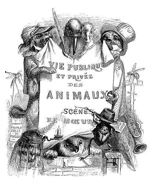 Humanized animals illustrations: Banner