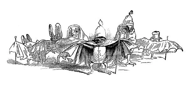 Humanized animals illustrations: Bats