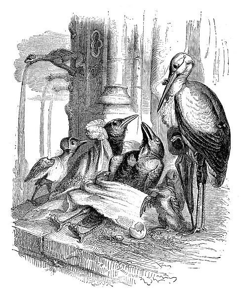Humanized animals illustrations: Bird dying