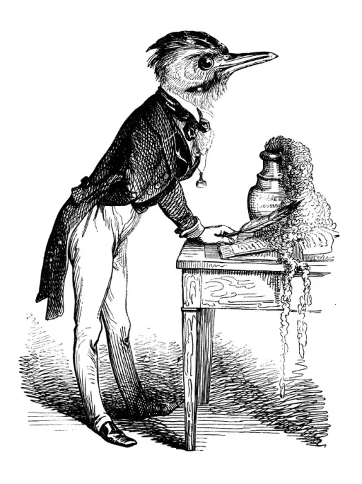 Framed Print : Humanized animals illustrations: Bird writing Framed Print : Humanized animals illustrations: Bird writing
