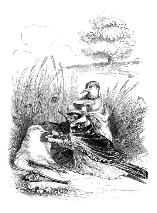 Framed Print : Humanized animals illustrations: Birds helping feeding Framed Print : Humanized animals illustrations: Birds helping feeding