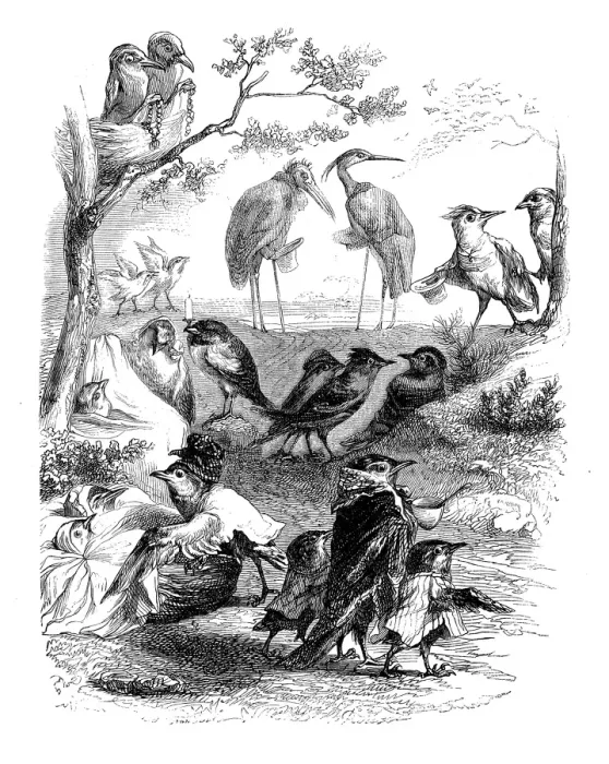 Framed Print : Humanized animals illustrations: Birds at the park Framed Print : Humanized animals illustrations: Birds at the park